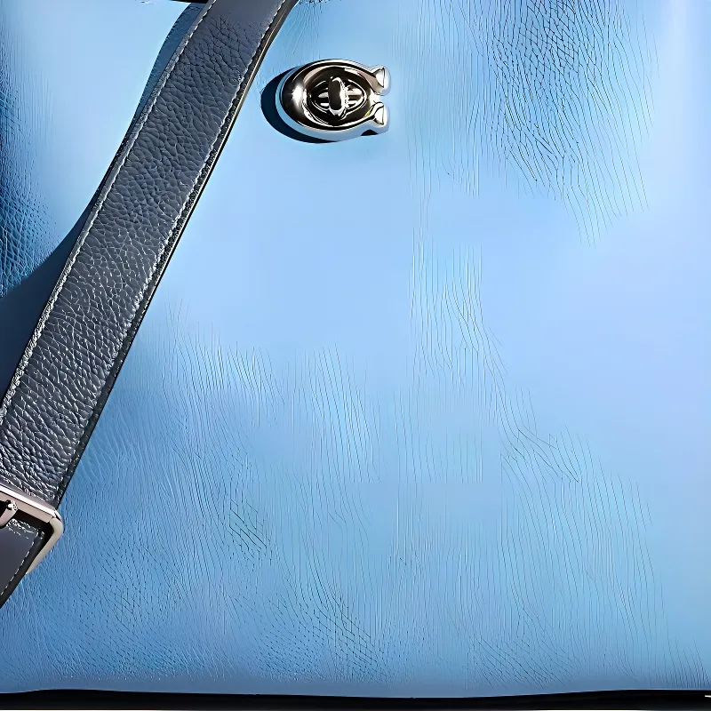 COACH Willow Leather Tote Bag, Shopping Bag, Shoulder Bag, Handbag Tubas Women's Blue-1