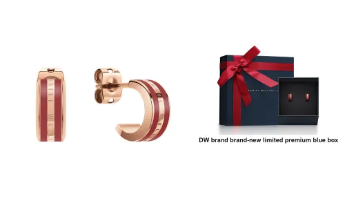 DW DanielWellington 액세서리 합금 스터드 귀걸이 남녀공용