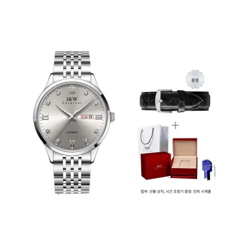 I&W 카니발 HWGUOJI 메커니컬 무브먼트 남성 중국 시계 41mm*41mm*11mm 그레이