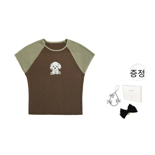 Fstudio 커피 색상 여성 티셔츠