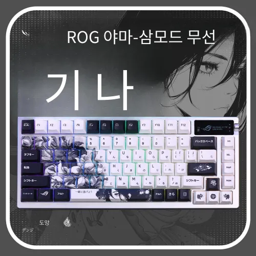 ROG 키보드