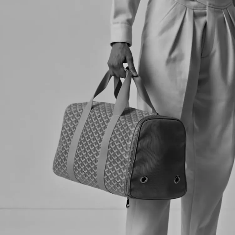 GOYARD VOLTIGEUR Canvas With Calfskin Pet Carrier, On The Go Luggage Bag, Carry on Bag Medium Size Unisex Gray-3