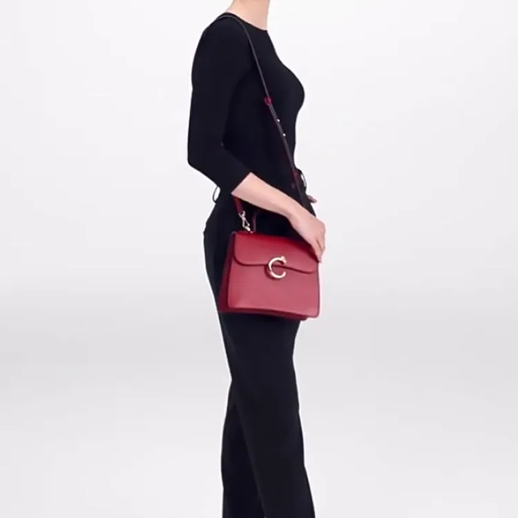 CARTIER Panthère De Cartier Calfskin Shoulder Bag Crossbody Bag Handbag Mini Women's Red-6