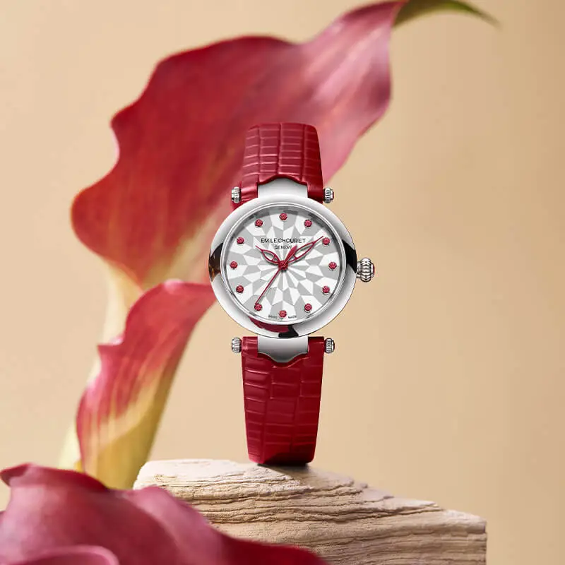 EMILE CHOURIET Automatic Mechanical Movement Women's Watch Watch 29.2mm Silver Dial Stainless Steel Case Leather Strap-5