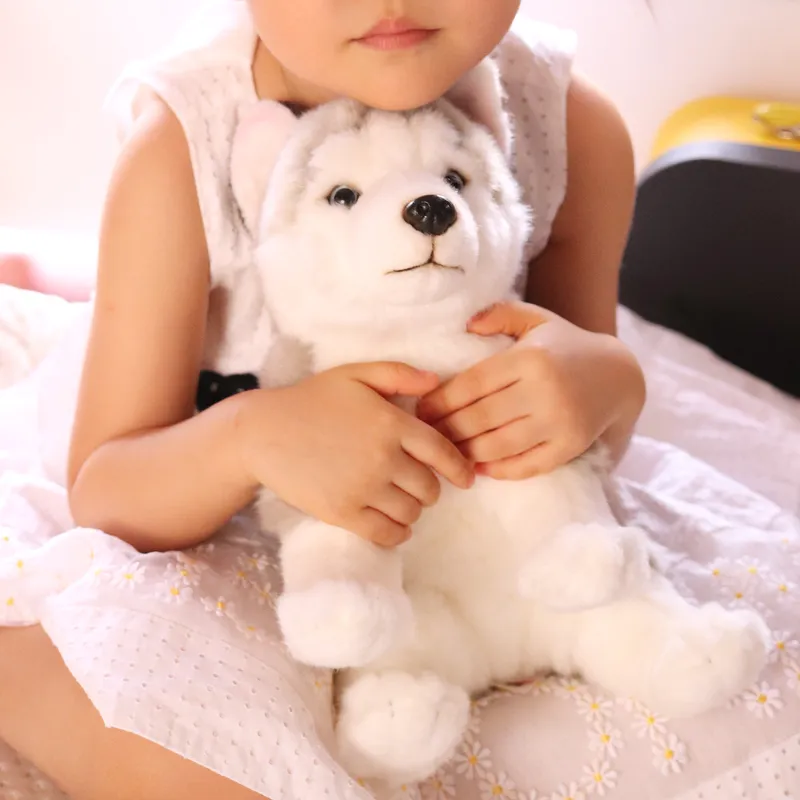 NATIONAL GEOGRAPHIC Plush Toy-7