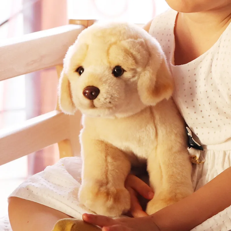 NATIONAL GEOGRAPHIC Plush Toy-5