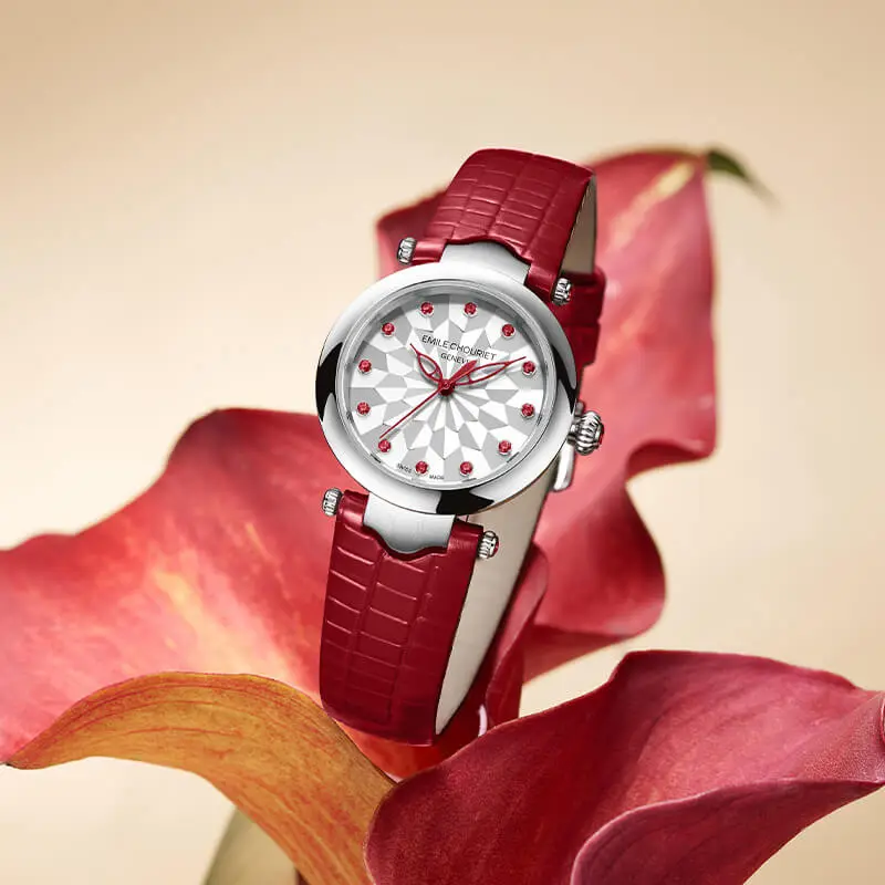 EMILE CHOURIET Automatic Mechanical Movement Women's Watch Watch 29.2mm Silver Dial Stainless Steel Case Leather Strap-6