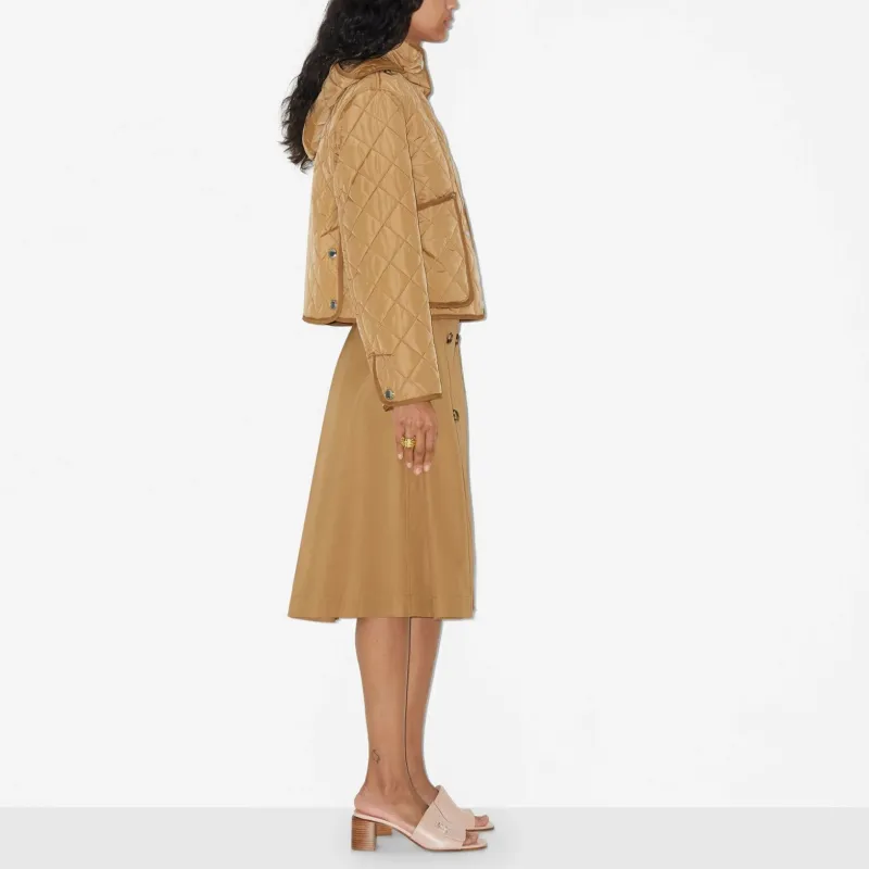 Burberry Belted waist Flared Skirt-3