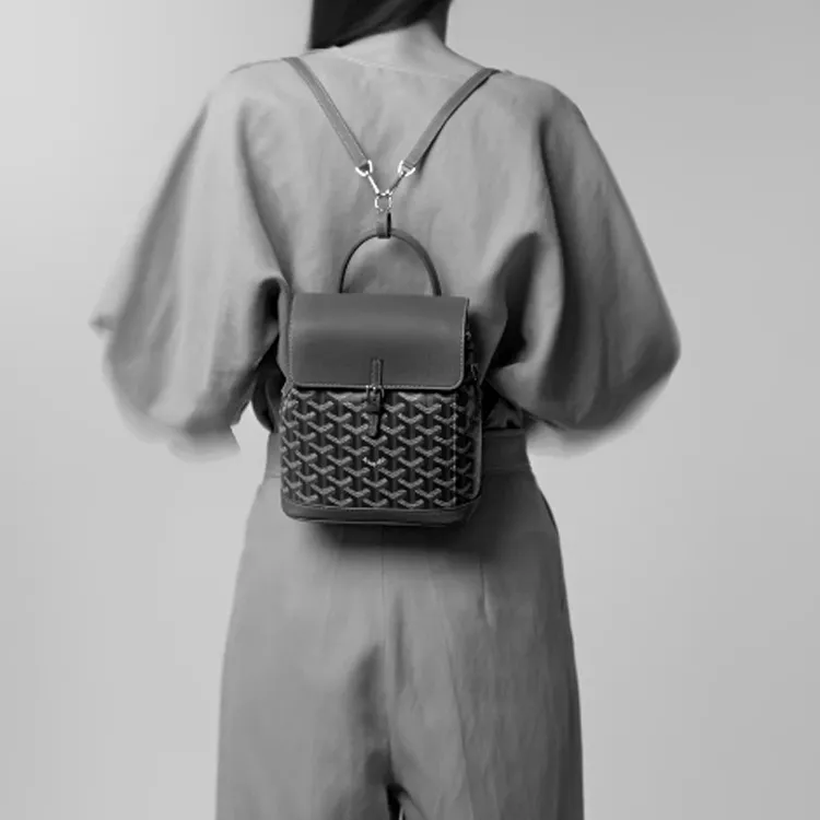 GOYARD Alpin Canvas With Leather Backpack Mini Unisex Gray-6