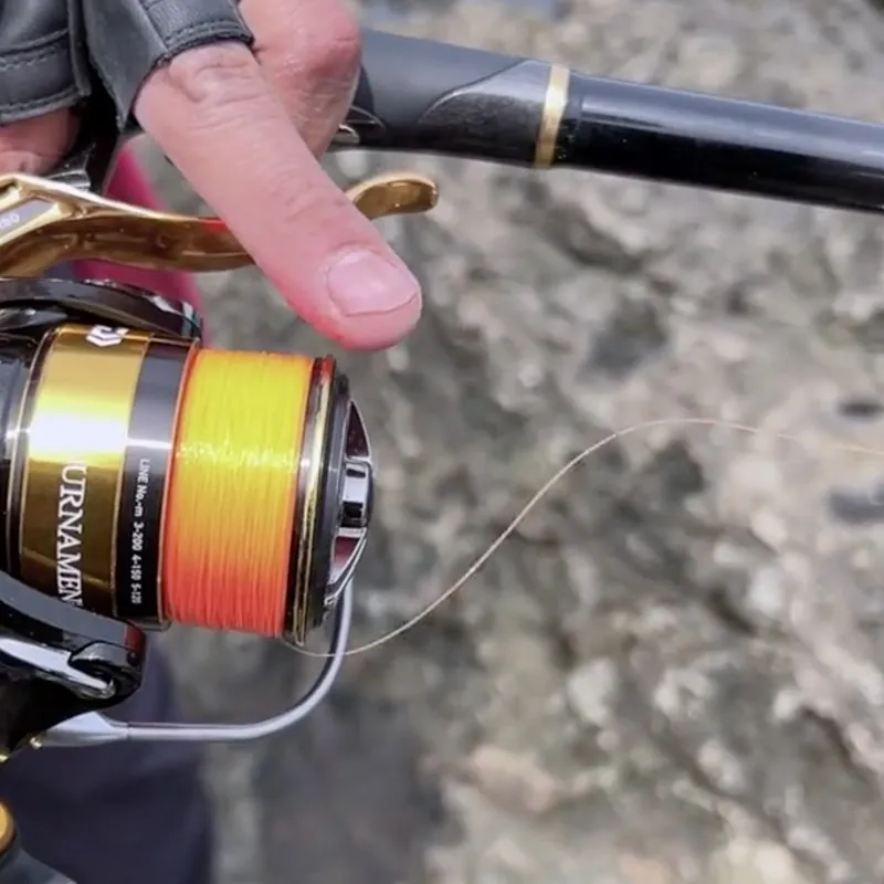 DAIWA Fish Line-3