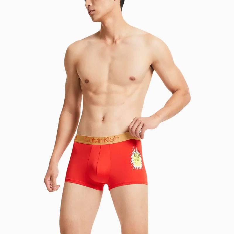 Calvin Klein Men Underpants-2