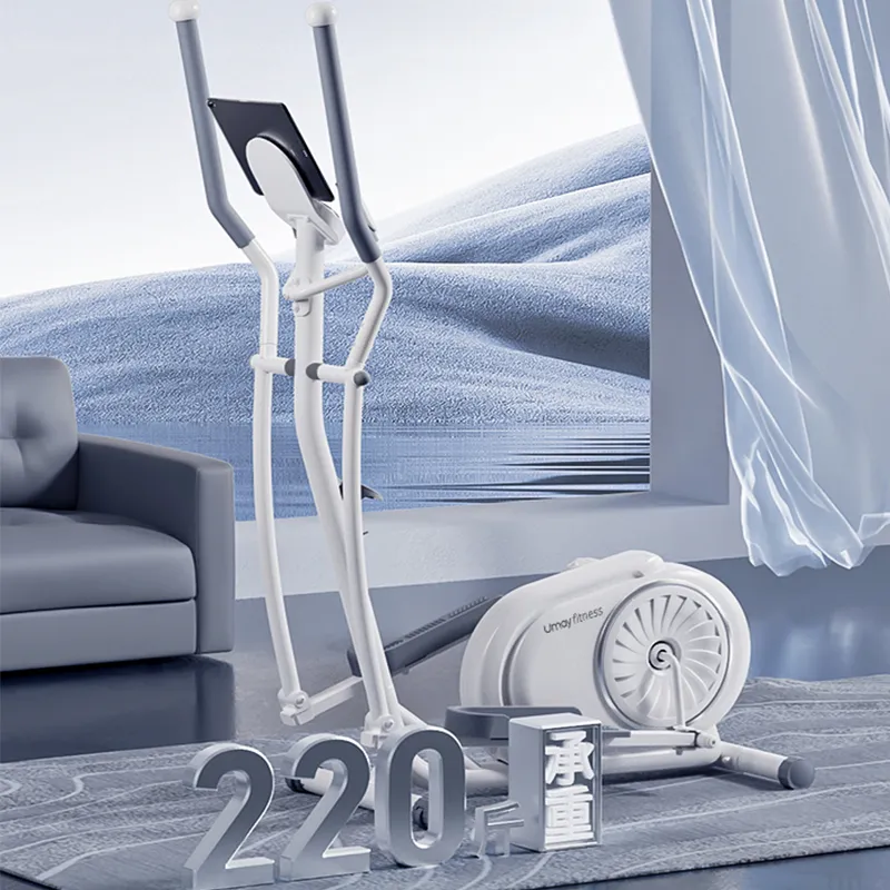 Umay Abdominal Rollers-3