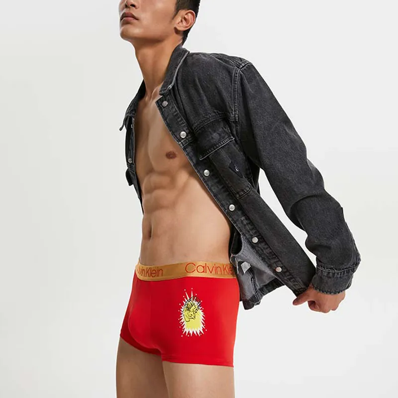 Calvin Klein Men Underpants-3