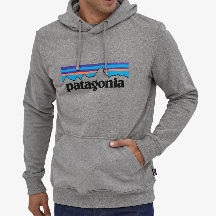 Patagonia Logo-print Hoodie-2