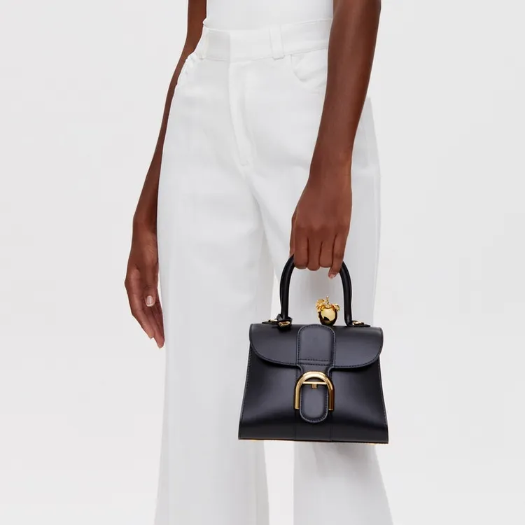 Delvaux Brillant Handbags-4