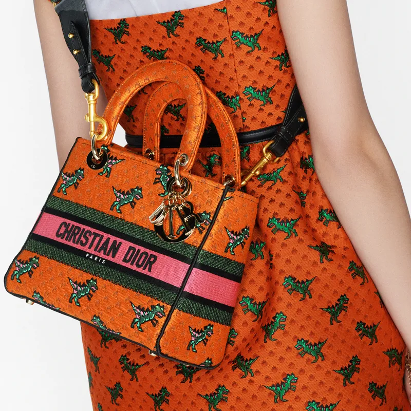 DIOR Lady D Lite Handbags-6