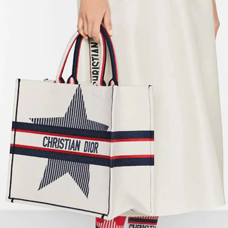 DIOR BookTote Handbags-5