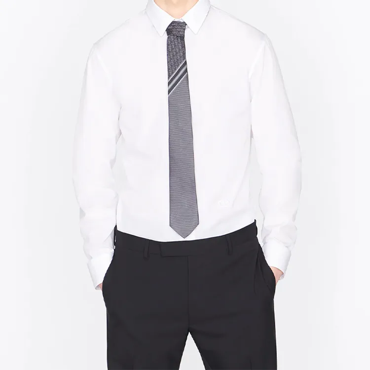 DIOR Silk Ties Men's Gray White-3