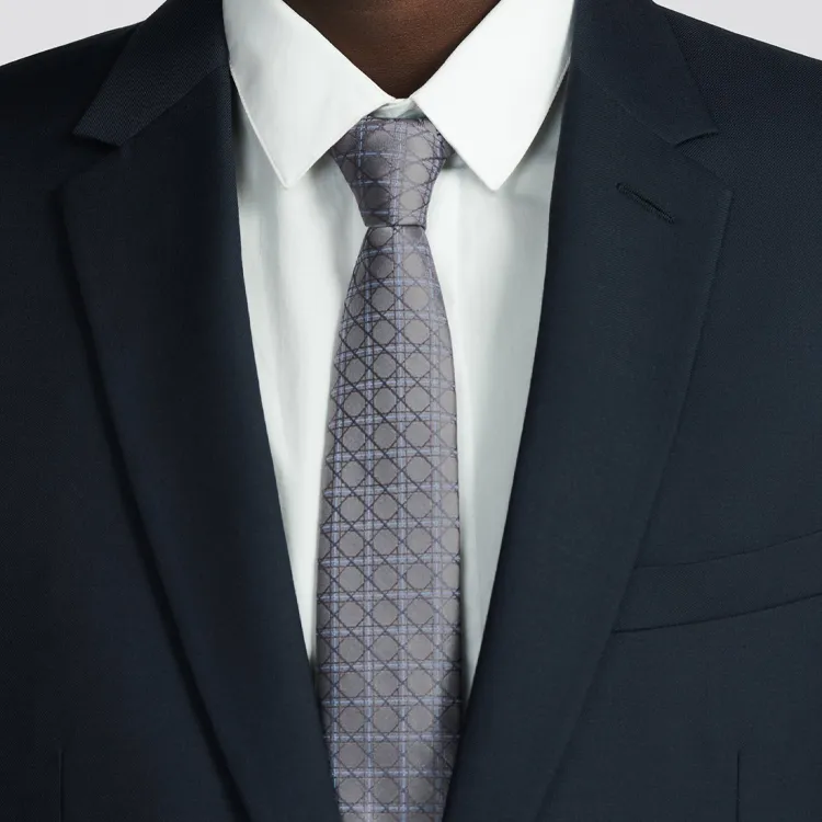 DIOR Ties Men Gray-1