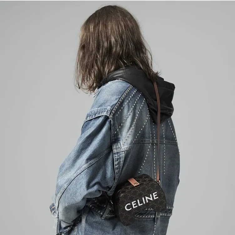 CELINE TriompheCANVAS Sheepskin Cow Leather Patchwork Gamepad Bag Crossbody Bag Shoulder Bag Women's Tawny-5