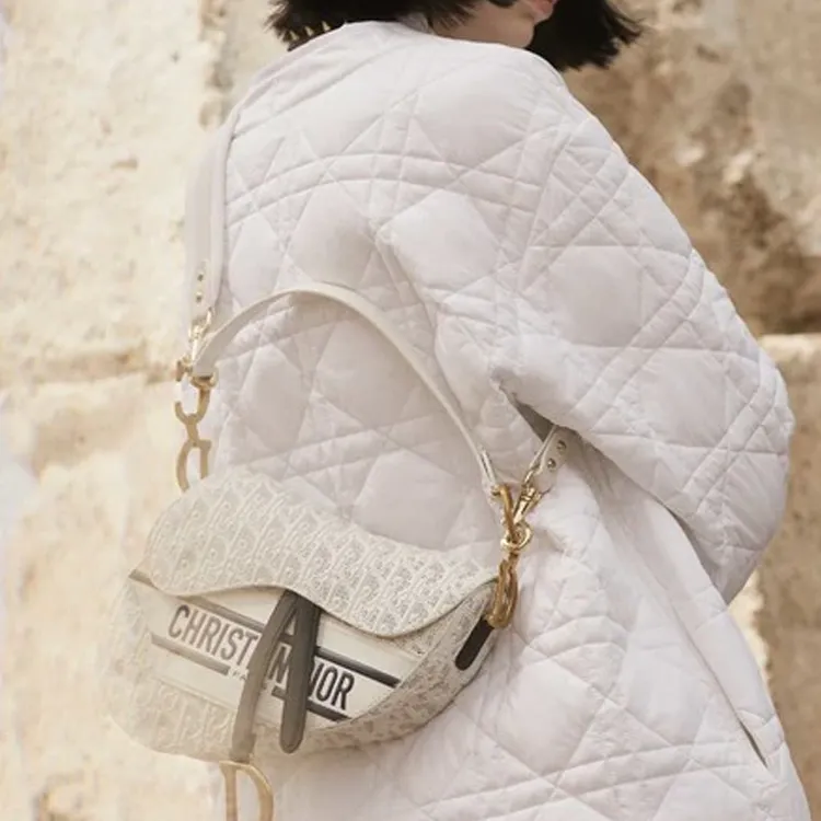 DIOR Saddle Handbags-3