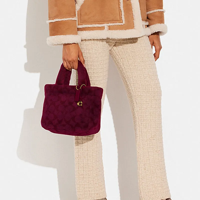 COACH Handbags-3