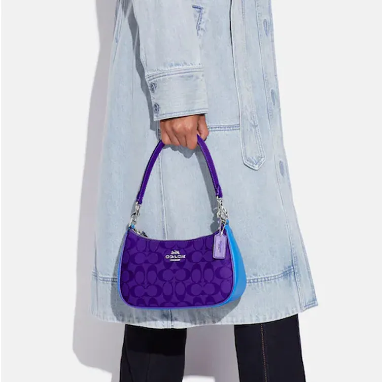 COACH Teri Handbags-4