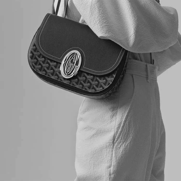 GOYARD 233 Crossbody Bags-4