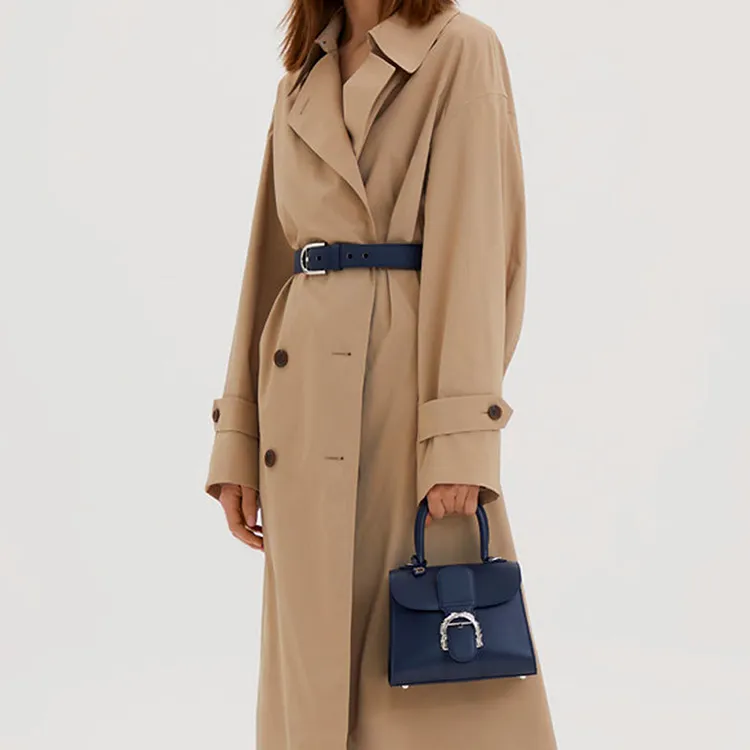 Delvaux Brillant Handbags-4