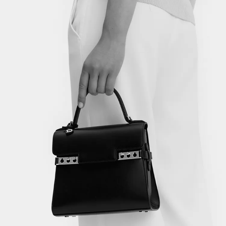 Delvaux Handbags-4