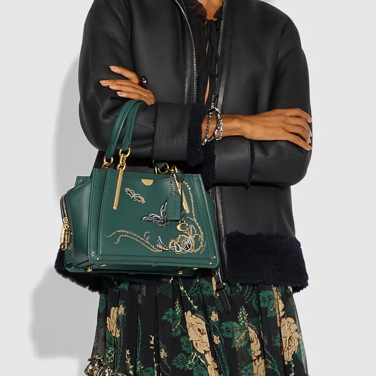 COACH Dreamer Handbags-3