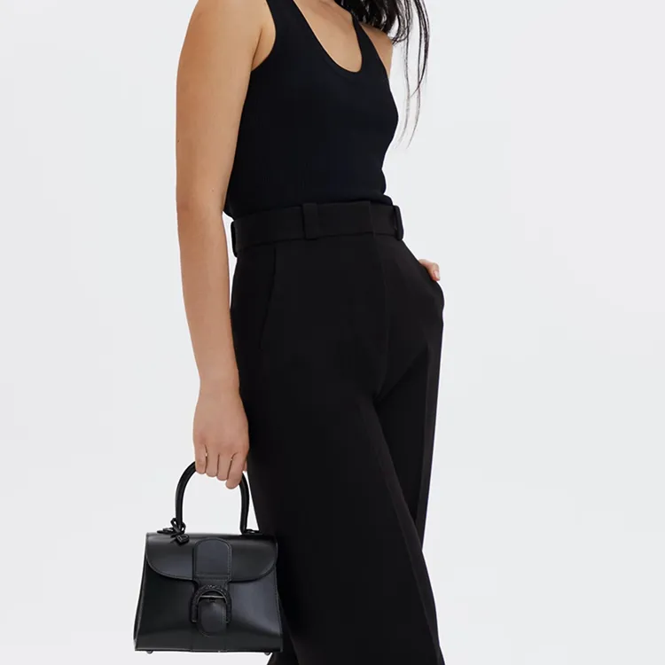 Delvaux Brillant Handbags-4