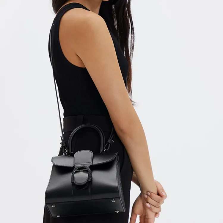 Delvaux Brillant Handbags-5