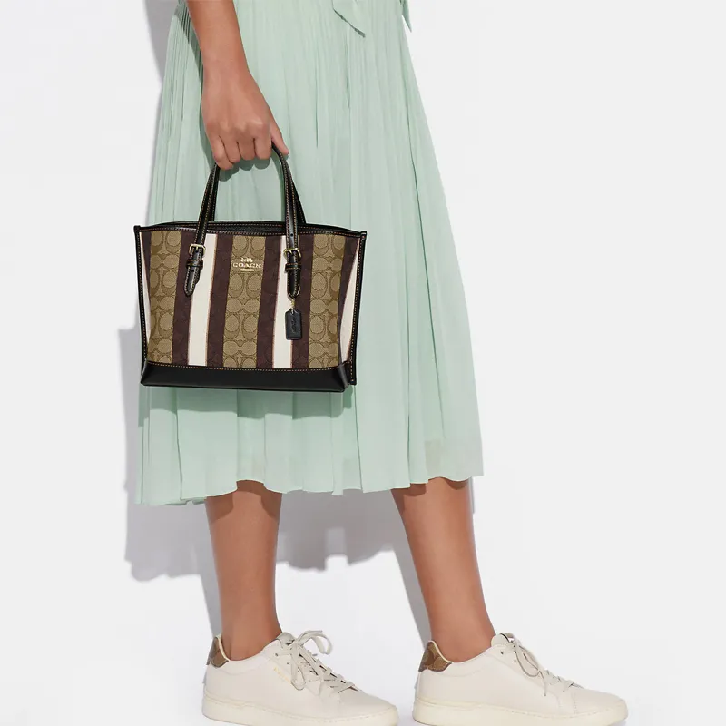 COACH Mollie Handbags-3