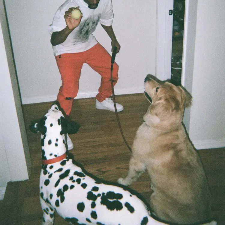 Drew House Buddy Ss Tee-6