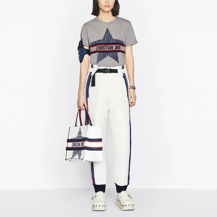 DIOR Dior Fw22 'Alps' Capsule Collection Regular T-Shirt Women's Gray-2