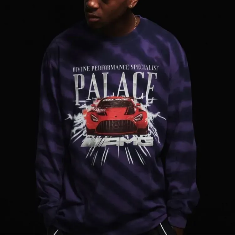 PALACE Amg Longsleeve-2