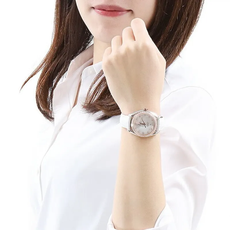 OMEGA Seamaster Aqua Terra 231.28.34.20.55.003-4