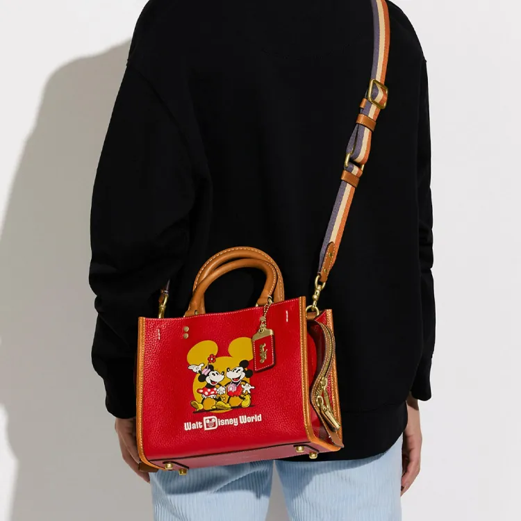 Disney X COACH Rogue Handbags-4