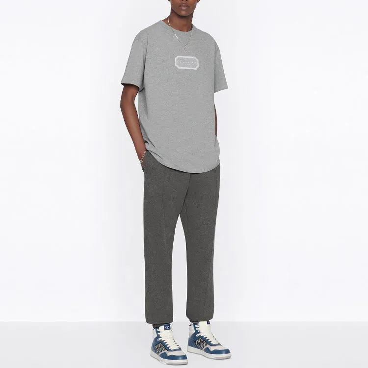 DIOR Quarterly New Products T Shirts Men Gray-2