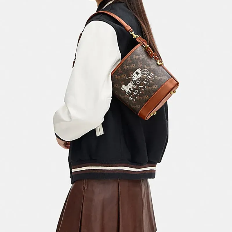 COACH Cow Leather Bucket Bag Handbag Crossbody Bag Mini Women's Black & Brown-4