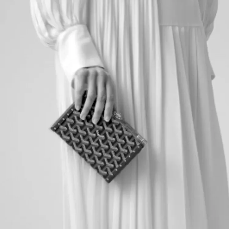 GOYARD Minaudière Trunk Canvas With Leather Clutch Unisex Silver-5