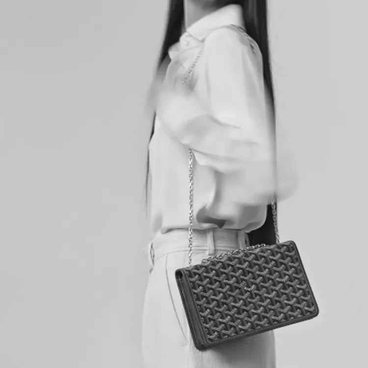 GOYARD Alexandre III Canvas With Leather Shoulder Bag Crossbody Bag Women's Black Brown-4