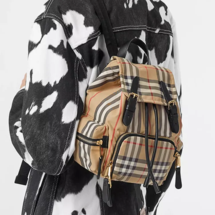 Burberry Vintage Fabric With Leather Backpack Small Size Women's Archive Beige-5