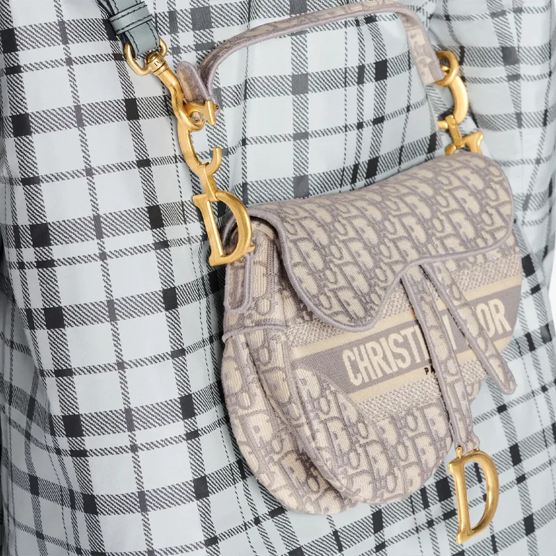 DIOR Saddle Bag Gray DIOR Oblique Embroidery-6