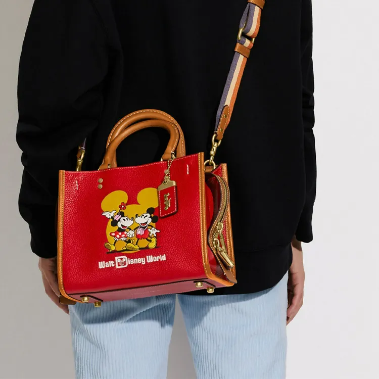 Disney X COACH Rogue Handbags-5
