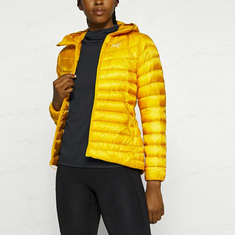 Arcteryx Motus Series Sweatshirts Women's-2