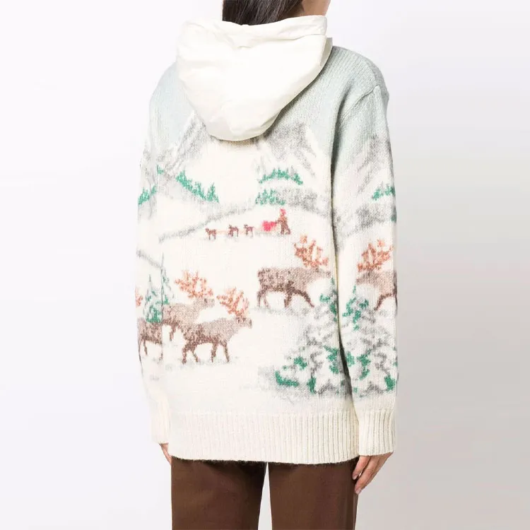 Moncler Patterned Hoodie 'Multicolor'-3