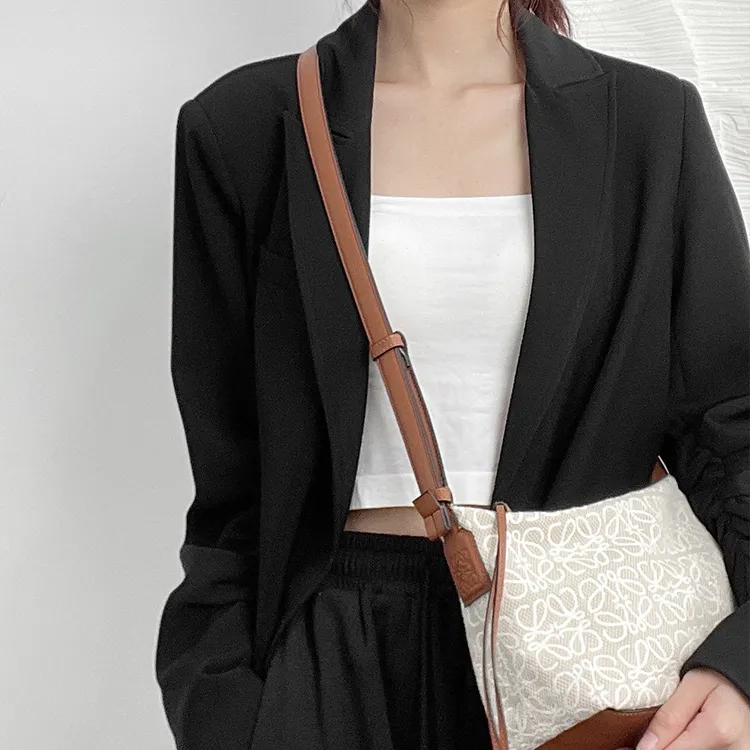 Luxury Care Artisan Workshop Imported Microfiber Bag Accessory Bag Strap Women's Brown-2