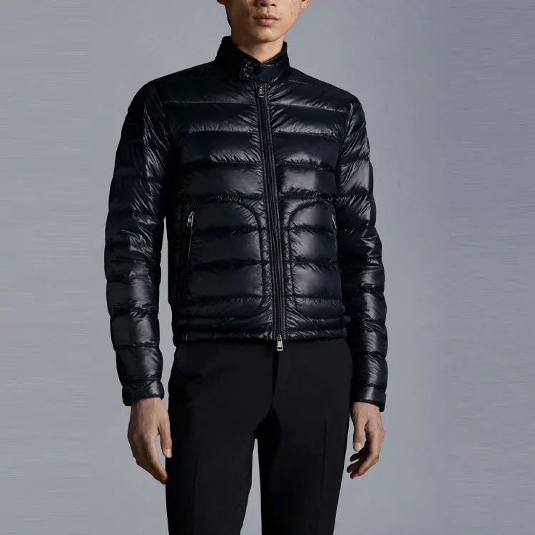 Moncler Acorus Series Down Jacket Men's Blue-2